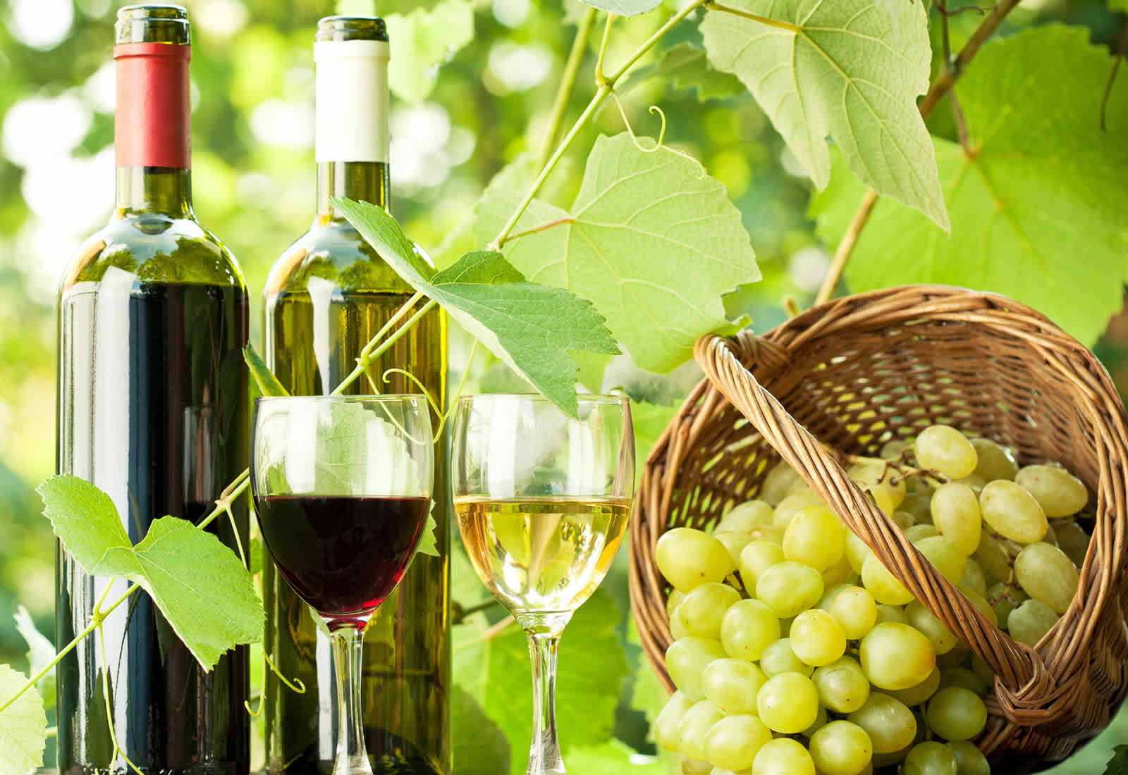 Wine bottle and glass sitting on a wine cask in front of a vineyard
